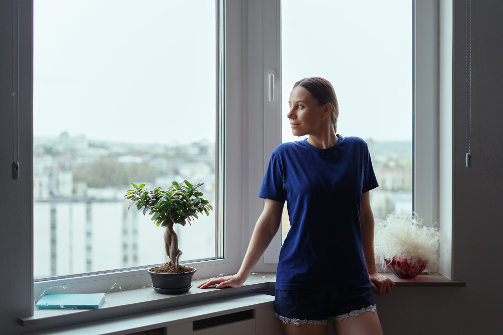 Great Falls Bay & Bow Windows